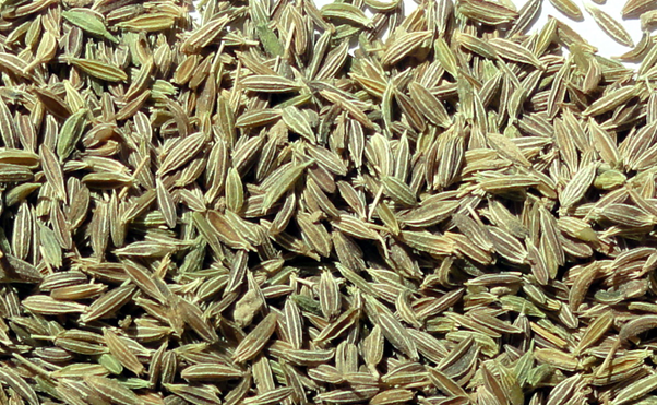 Sesame Seeds